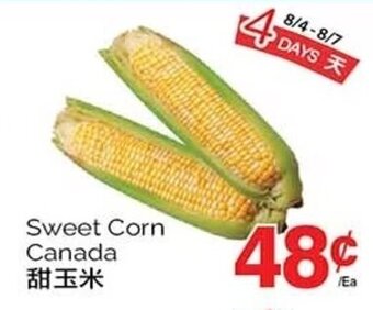 T&T Supermarket Sweet Corn offer