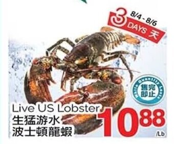 T&T Supermarket Live US Lobster offer