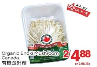 T&T Supermarket Organic Enoki Mushroom offer