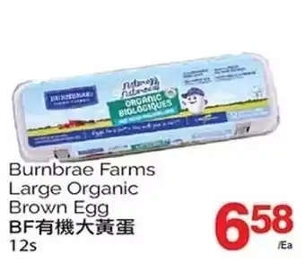 T&T Supermarket Burnbrae Farms Large Organic Brown Egg BF, 12's offer