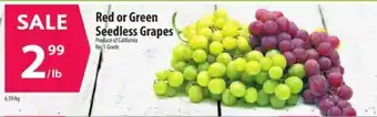 Red or Green Seedless Grapes