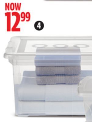 Canadian Tire Type a 32l clarity storage container offer