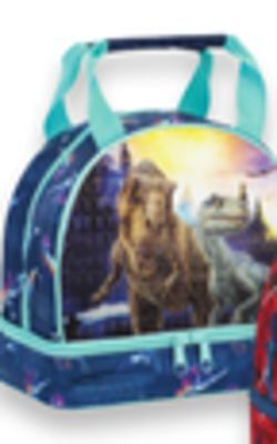 Walmart Heys deluxe lunch bag offer