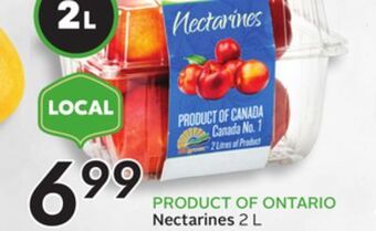 Sobeys Nectarines offer