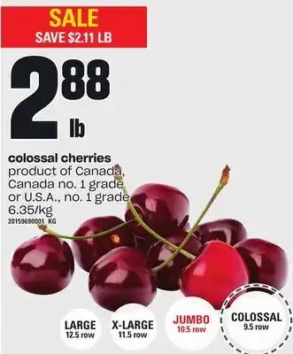 Loblaws Colossal cherries offer