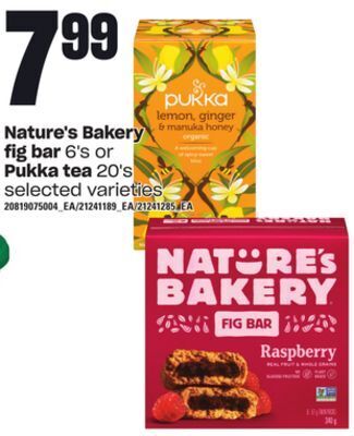 Loblaws Nature's bakery fig bar 6's or pukka tea 20's offer