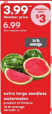 Loblaws Extra large seedless watermelon, 14 lb average offer