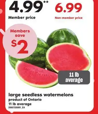 Independent Grocer Large seedless watermelons, 11 lb average offer