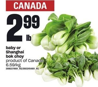 Loblaws Baby or shanghai bok choy offer
