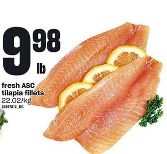 Loblaws Fresh asc tilapia fillets offer
