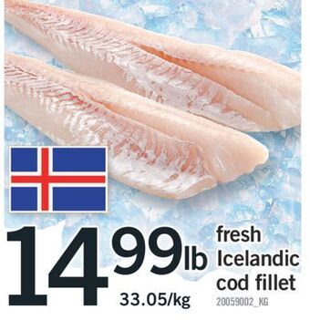 Fortinos Fresh icelandic cod fillet offer