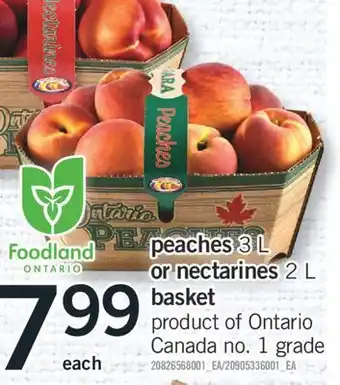 Fortinos Peaches 3 l or nectarines 2 l basket offer