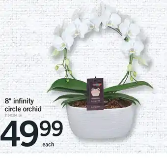 Fortinos 8 infinity circle orchid offer