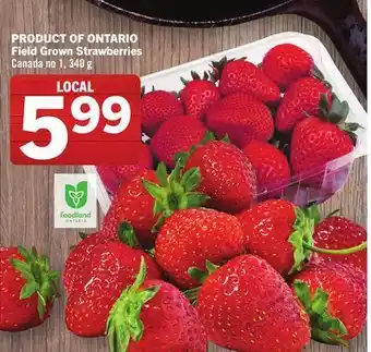 Foodland Field strawberries canada no 1, 340 g offer