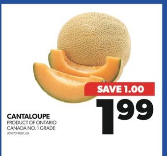 Real Canadian Superstore Cantaloupe offer