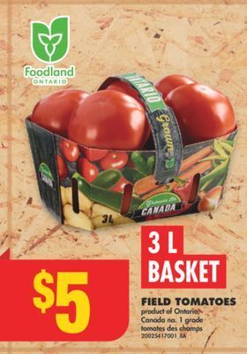 No Frills Field tomatoes, 3 l basket offer
