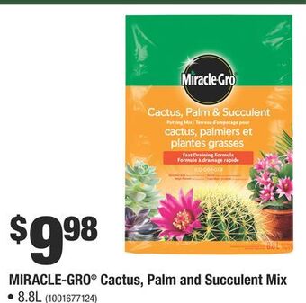 Home Depot Miracle-gro® cactus, palm and succulent mix offer