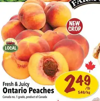 Farm Boy Fresh & juicy ontario peaches offer