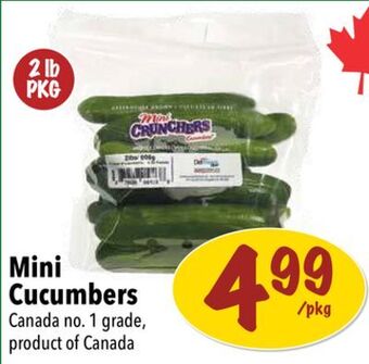 Farm Boy Mini cucumbers offer