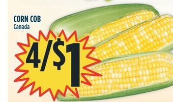 Marché Adonis Corn cob offer