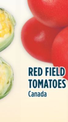 Marché Adonis Red field tomatoes offer