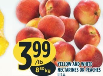 Marché Adonis Yellow and white nectarines or peaches offer