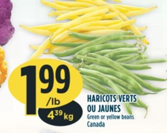 Marché Adonis Green or yellow beans offer