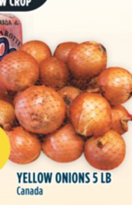 Marché Adonis Yellow onions offer