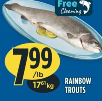 Marché Adonis Rainbow trouts offer