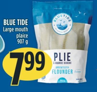 Marché Adonis Blue tide large mouth plaice offer