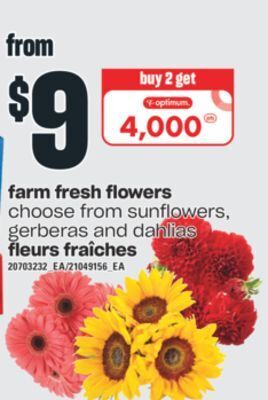 Valu-mart Fleurs fraîches offer
