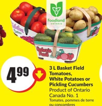 FreshCo 3 l basket field tomatoes, white potatoes or pickling cucumbers product of ontario canada no. 1 offer