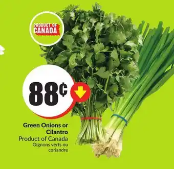 FreshCo 1c green onions or cilantro product of canada offer