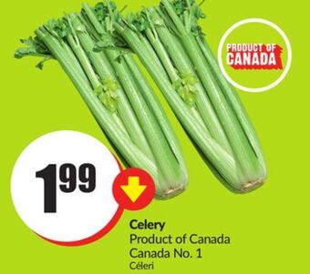 FreshCo Celery product of canada canada no.1 offer