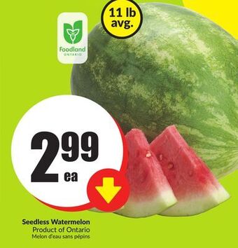 Chalo FreshCo Seedless watermelon product of ontario offer