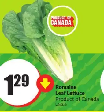 Chalo FreshCo Romaine leaf lettuce product of canada offer