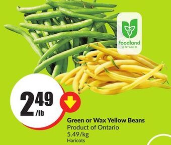 Chalo FreshCo Green or wax yellow beans product of ontario 5.49/kg offer