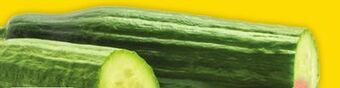Giant Tiger English cucumber offer