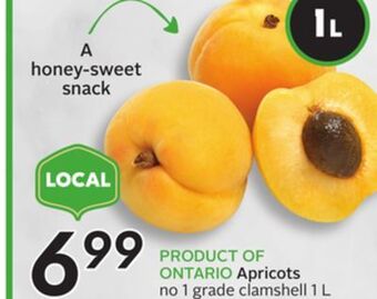 Sobeys Apricots offer
