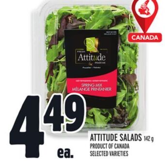 Metro Attitude salads offer