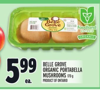 Metro Belle grove organic portabella mushrooms offer