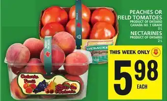 Food Basics Peaches or field tomatoes offer