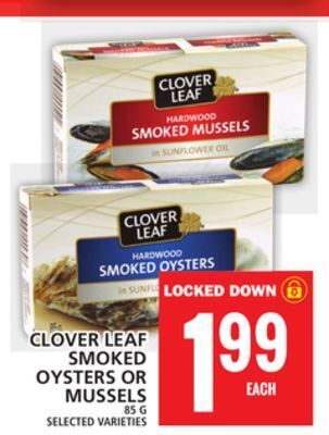 Food Basics Clover leaf smoked oysters or mussels offer