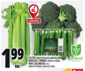 Metro Celery offer