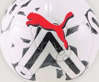 Sport Chek Puma orbita 6 soccer ball offer