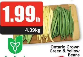 Starsky Foodland ontario grown green & yellow beans offer