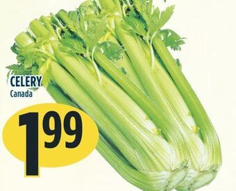 Marché Adonis Celery offer