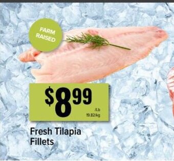 Produce Depot Fresh Tilapia Fillets offer