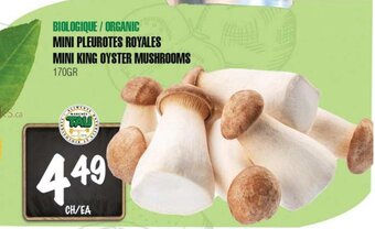 Marches Tau ORGANIC MINI KING OYSTER MUSHROOM 170 GR offer