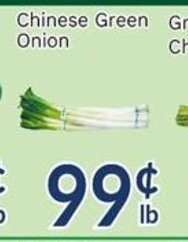 Oceans Fresh Food Market Chinese Green Onion offer